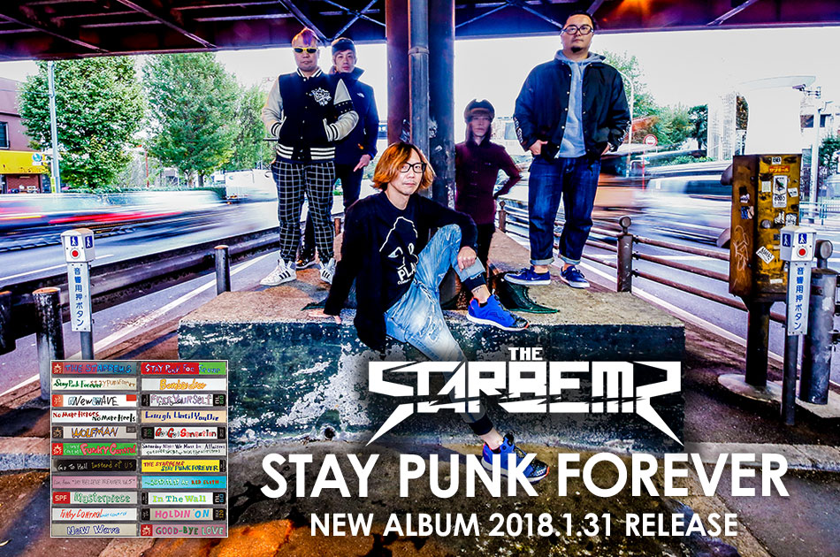 STAY PUNK FOREVER