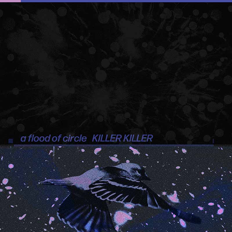 ジャケット写真